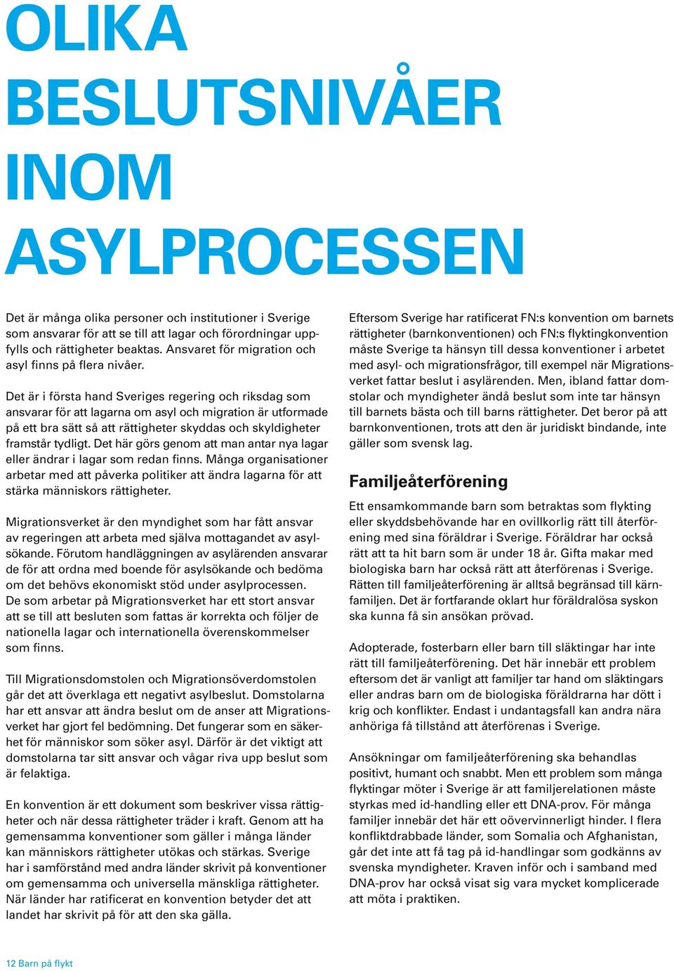 Det är i första hand Sveriges regering och riksdag som ansvarar för att lagarna om asyl och migration är utformade på ett bra sätt så att rättigheter skyddas och skyldigheter framstår tydligt.