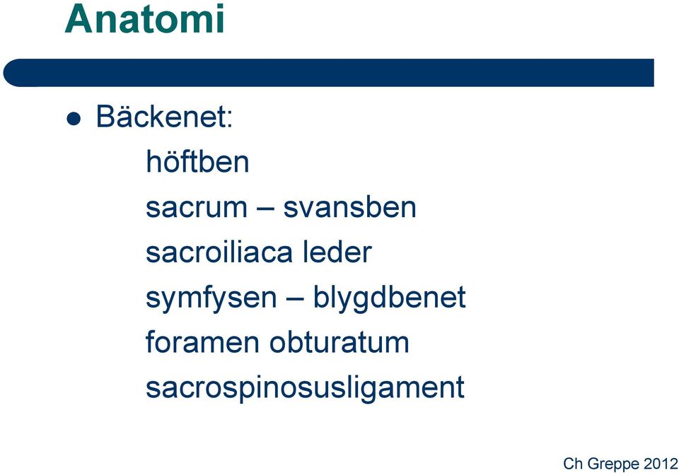 leder symfysen blygdbenet