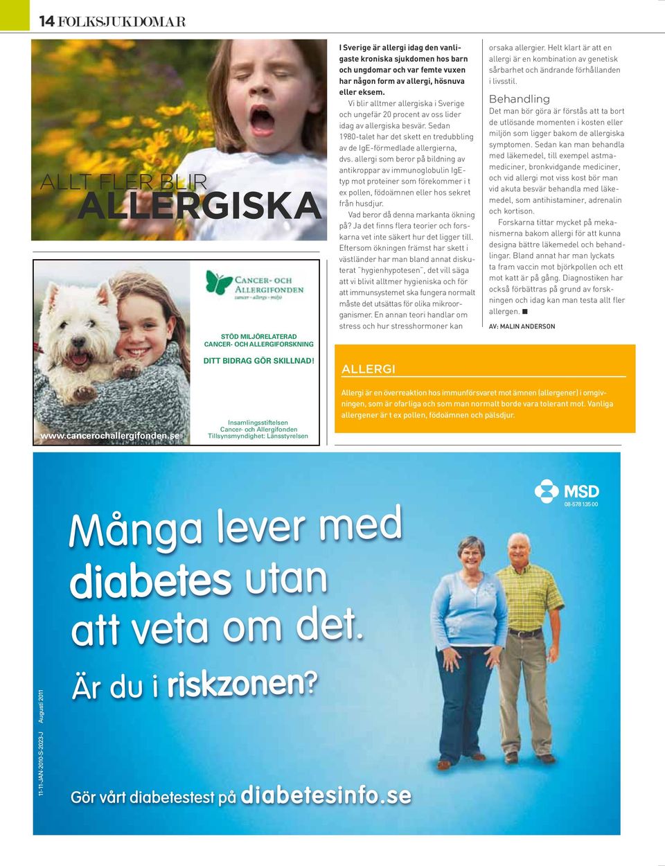 Vi blir alltmer allergiska i Sverige och ungefär 20 procent av oss lider idag av allergiska besvär. Sedan 1980-talet har det skett en tredubbling av de IgE-förmedlade allergierna, dvs.