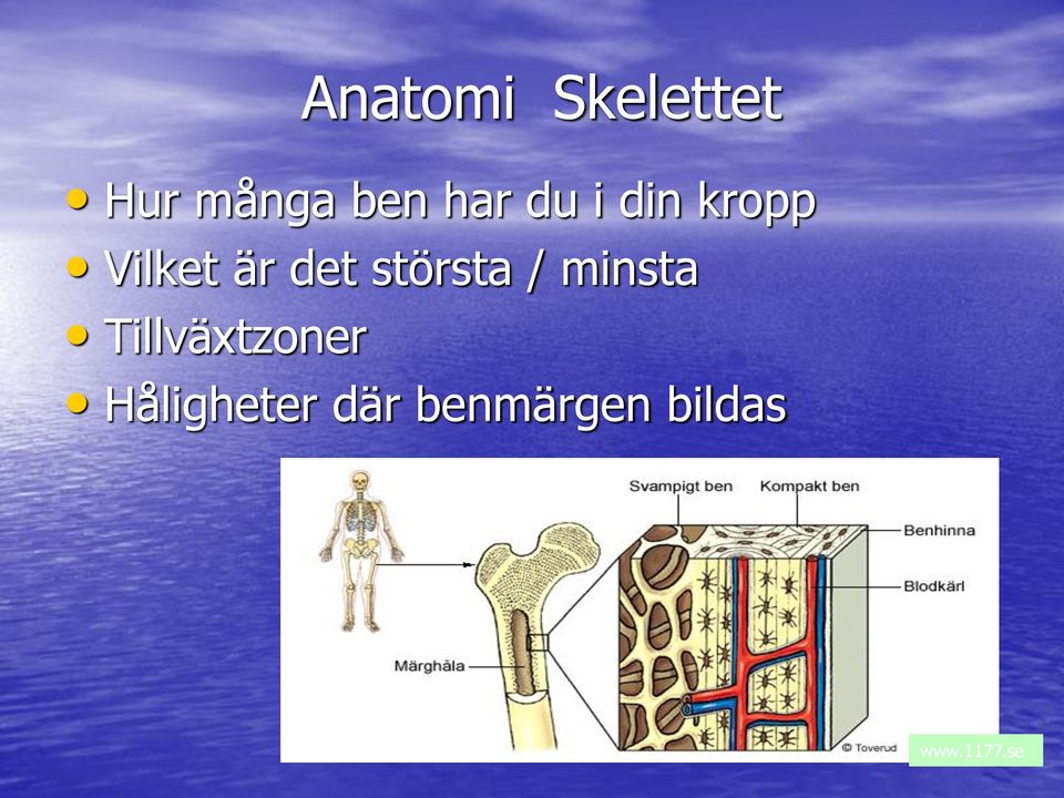 största / minsta Tillväxtzoner