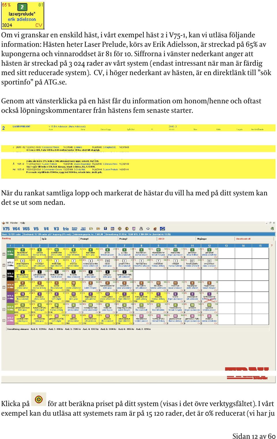 CV, i höger nederkant av hästen, är en direktlänk till sök sportinfo på ATG.se.