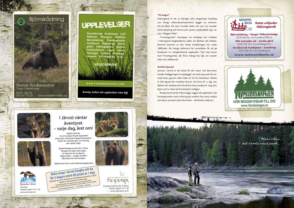 På skogen Hälsingland är ett av Sveriges allra skogrikaste landskap och många vildmarksentreprenörer bygger sin verksamhet på detta.