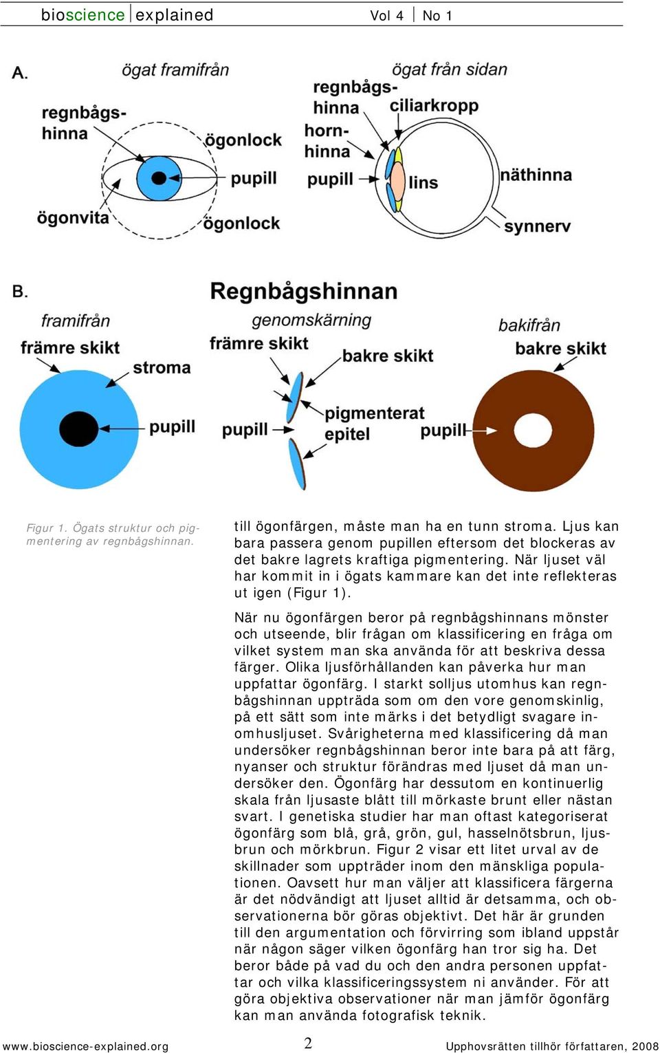 När nu ögonfärgen beror på regnbågshinnans mönster och utseende, blir frågan om klassificering en fråga om vilket system man ska använda för att beskriva dessa färger.