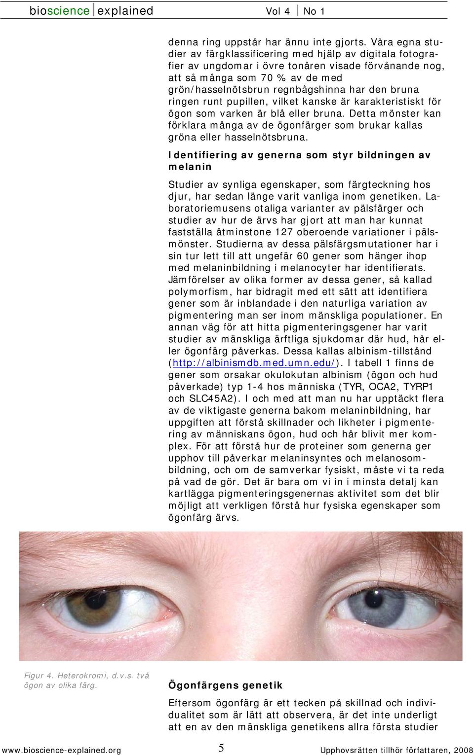 bruna ringen runt pupillen, vilket kanske är karakteristiskt för ögon som varken är blå eller bruna. Detta mönster kan förklara många av de ögonfärger som brukar kallas gröna eller hasselnötsbruna.