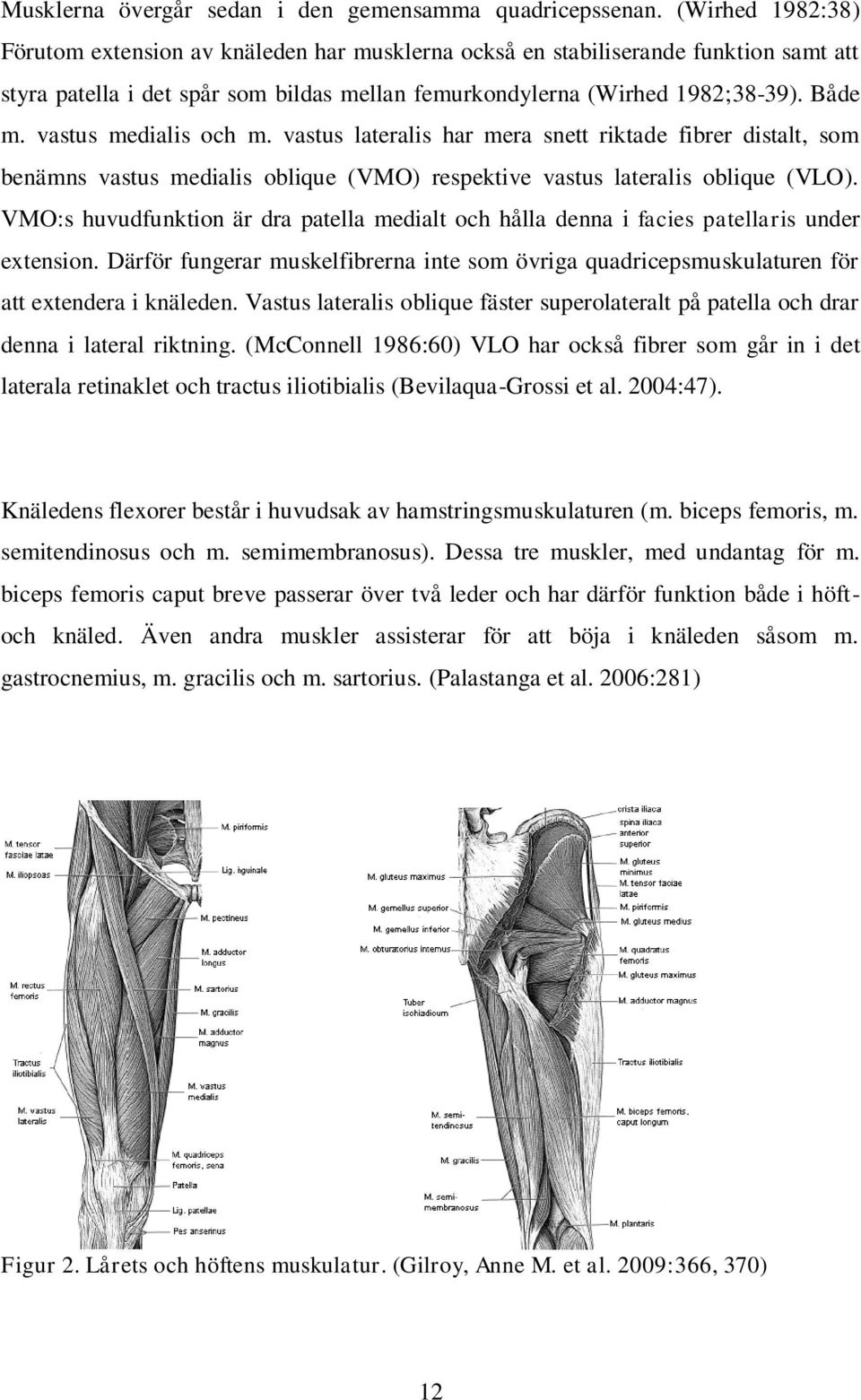 vastus medialis och m. vastus lateralis har mera snett riktade fibrer distalt, som benämns vastus medialis oblique (VMO) respektive vastus lateralis oblique (VLO).