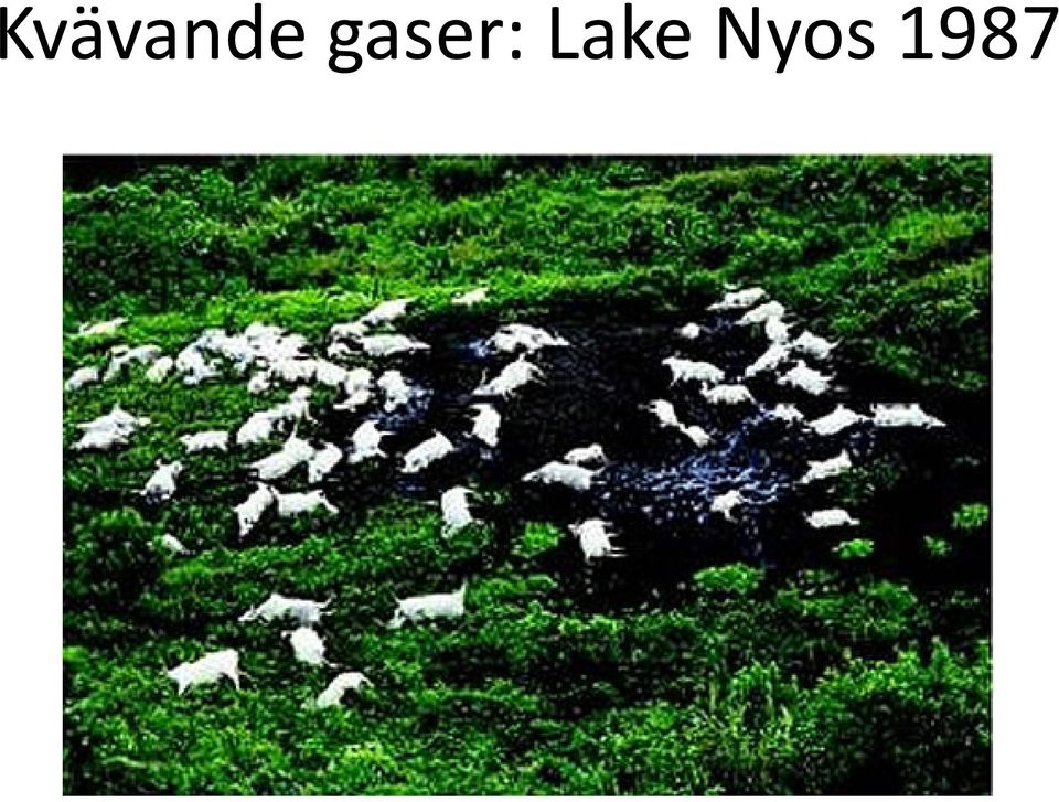 Lake Nyos