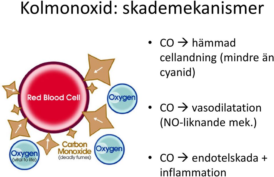 cyanid) CO vasodilatation