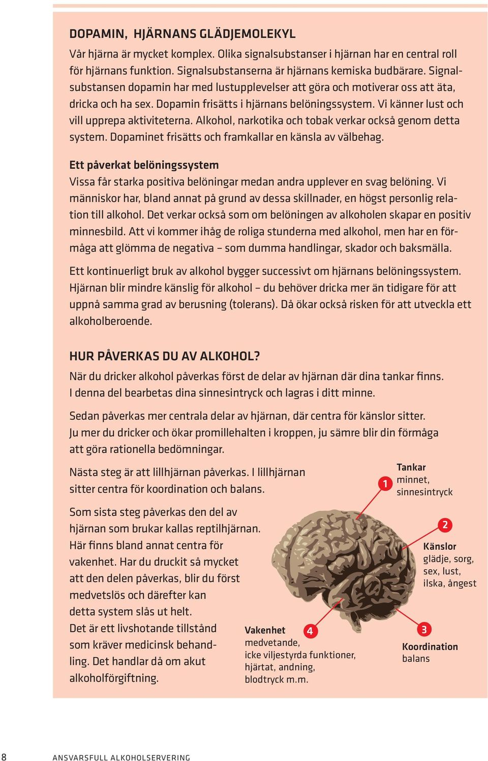 Alkohol, narkotika och tobak verkar också genom detta system. Dopaminet frisätts och framkallar en känsla av välbehag.