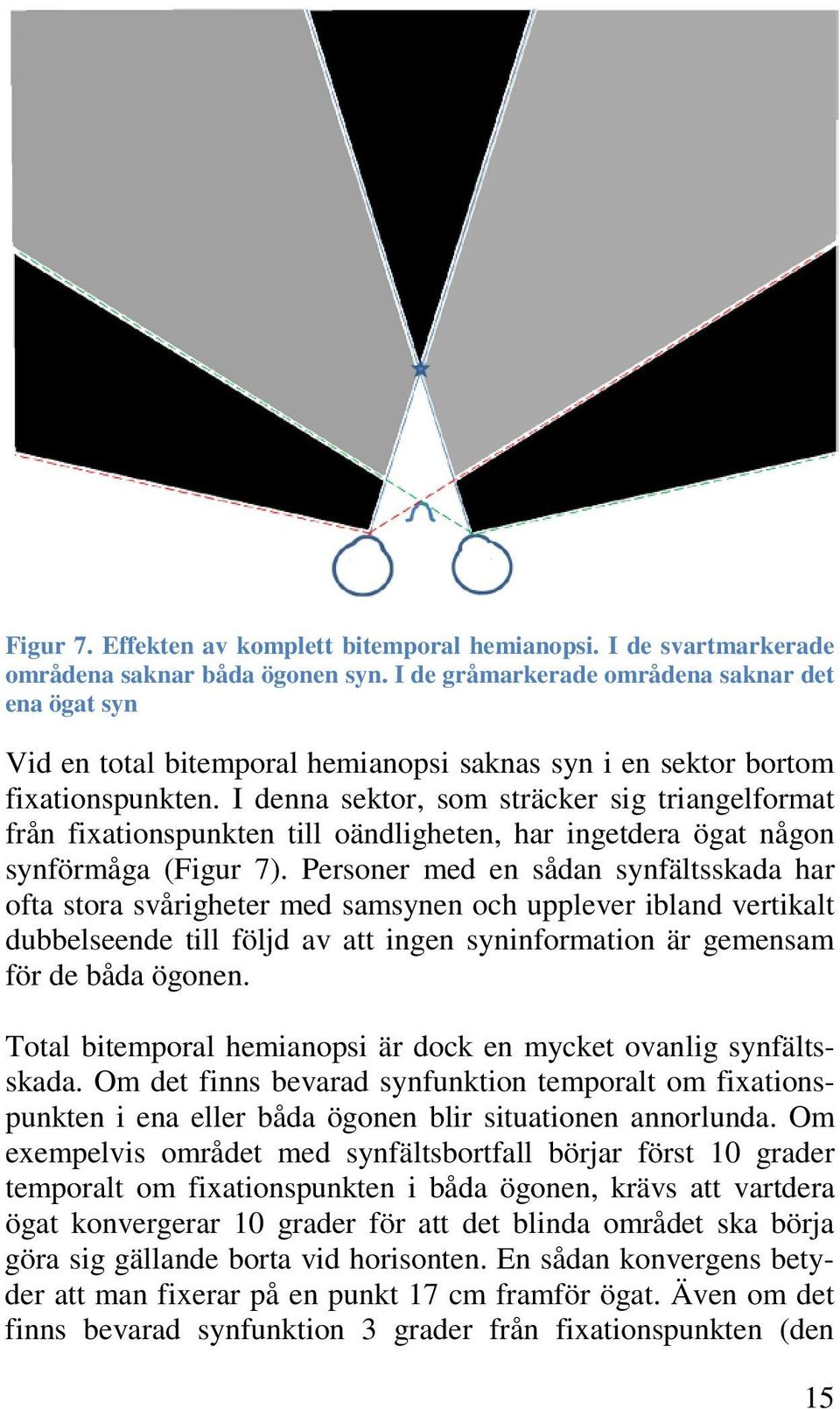 I denna sektor, som sträcker sig triangelformat från fixationspunkten till oändligheten, har ingetdera ögat någon synförmåga (Figur 7).