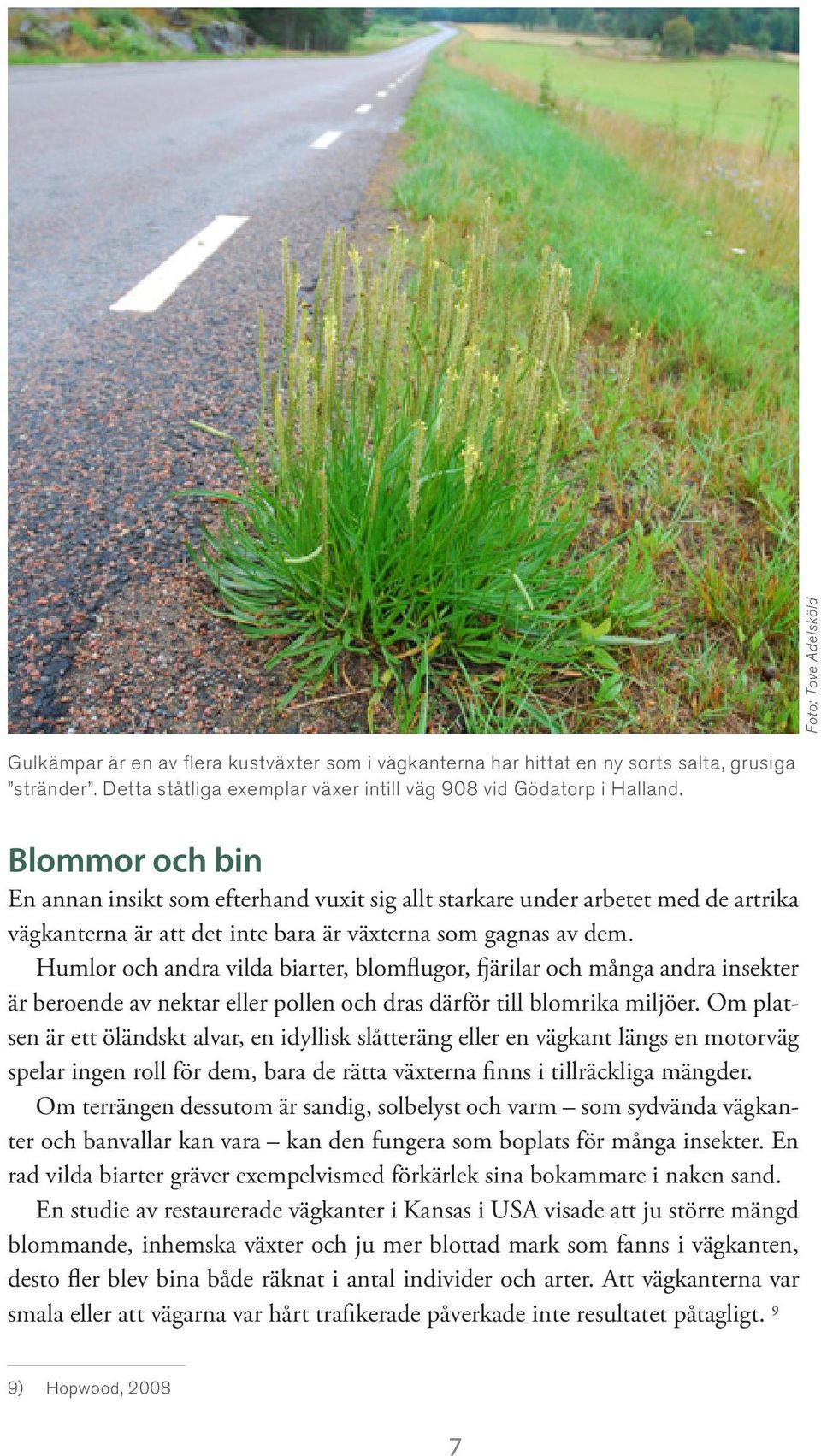 Humlor och andra vilda biarter, blomflugor, fjärilar och många andra insekter är beroende av nektar eller pollen och dras därför till blomrika miljöer.