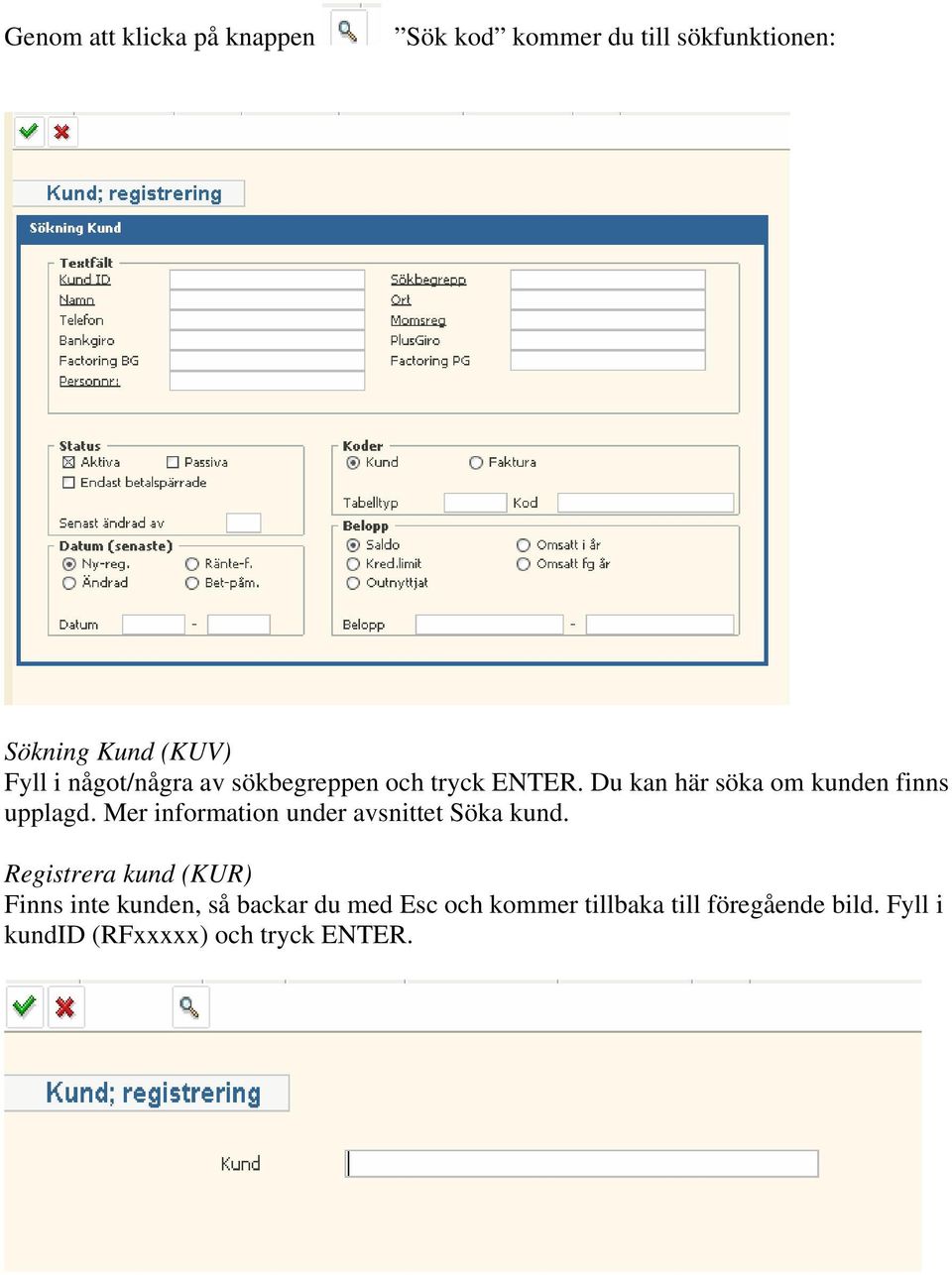 Mer information under avsnittet Söka kund.