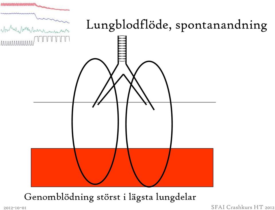 Genomblödning