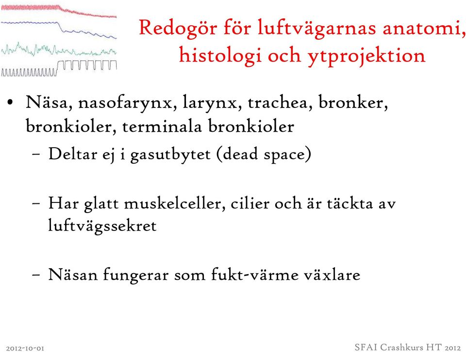 bronkioler Deltar ej i gasutbytet (dead space) Har glatt