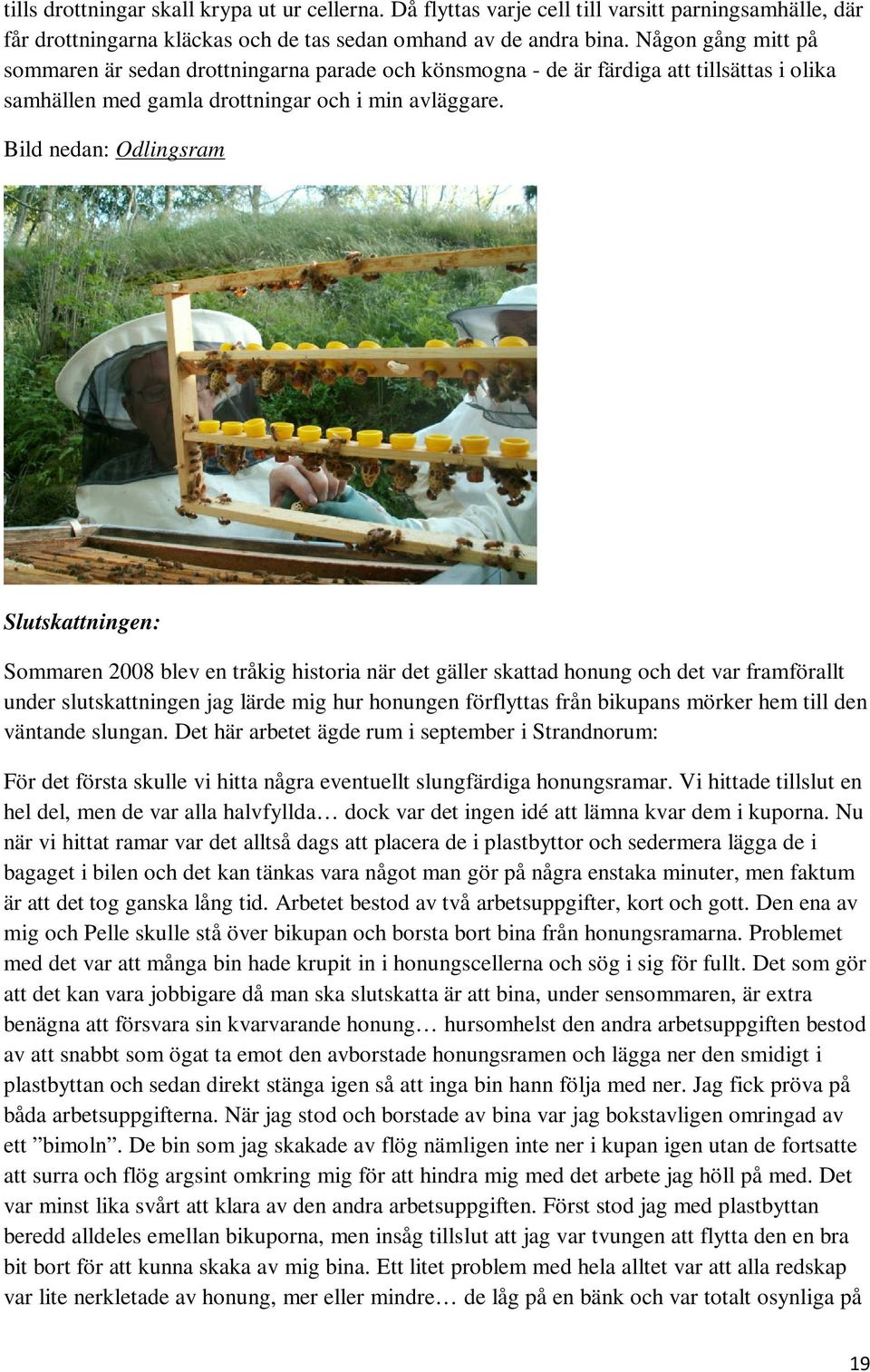 Bild nedan: Odlingsram Slutskattningen: Sommaren 2008 blev en tråkig historia när det gäller skattad honung och det var framförallt under slutskattningen jag lärde mig hur honungen förflyttas från