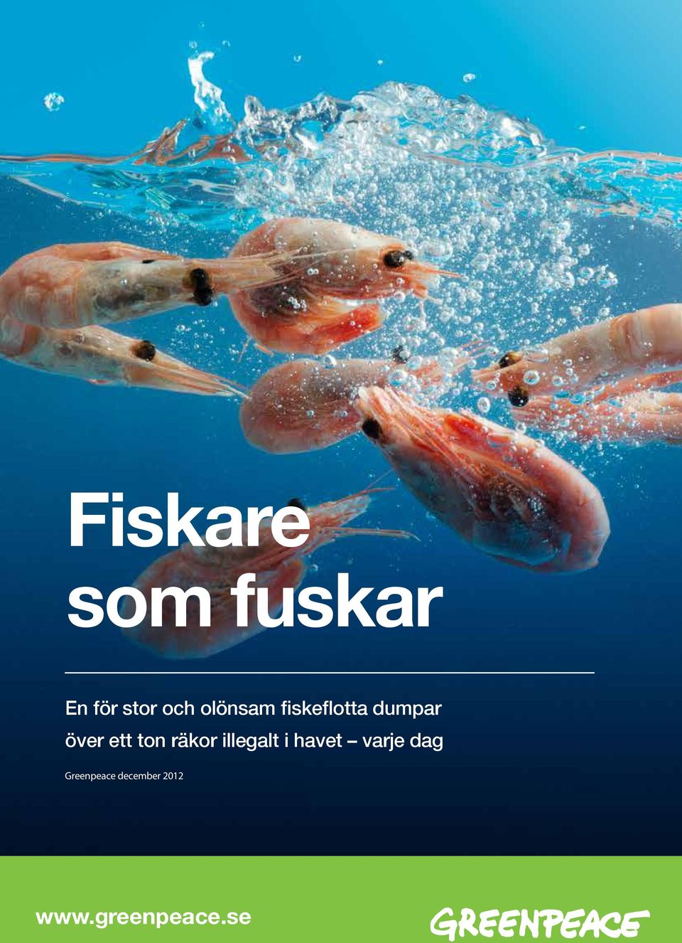 illegalt i havet varje dag Greenpeace