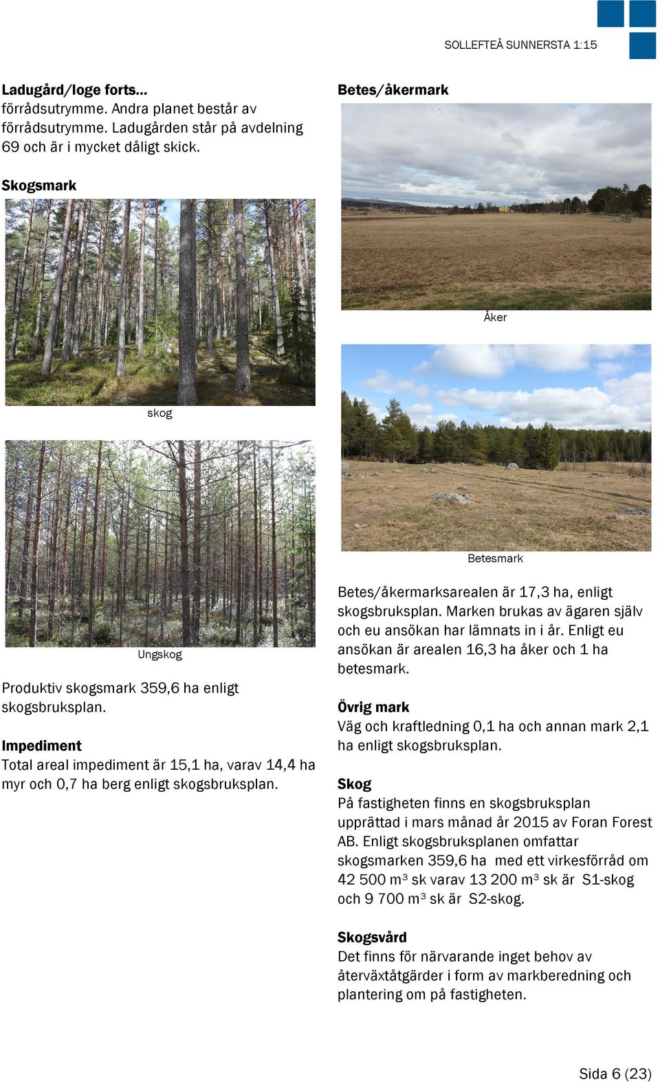 På brukningsenheter över 100 ha produktiv skogsmark får föryngringsavverkning inte ske i sådan utsträckning att mer än hälften av brukningsenhetens produktiva skogsmarksareal kommer att bestå av