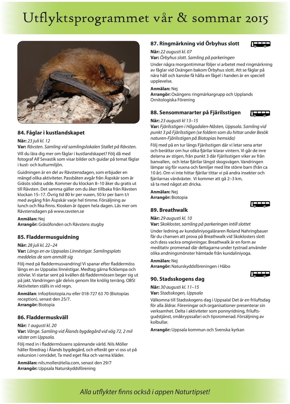 Att se fåglar på nära håll och kanske få hålla en fågel i handen är en speciell upplevelse. Arrangör: Oxängens ringmärkargrupp och Upplands Ornitologiska Förening 84.