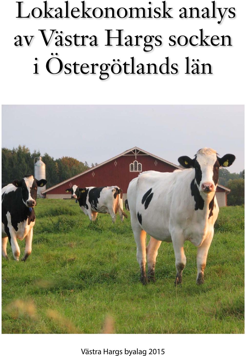 i Östergötlands län