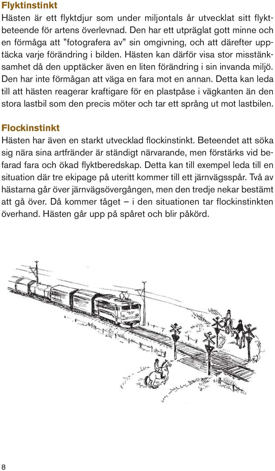 Hästen kan därför visa stor misstänksamhet då den upptäcker även en liten förändring i sin invanda miljö. Den har inte förmågan att väga en fara mot en annan.