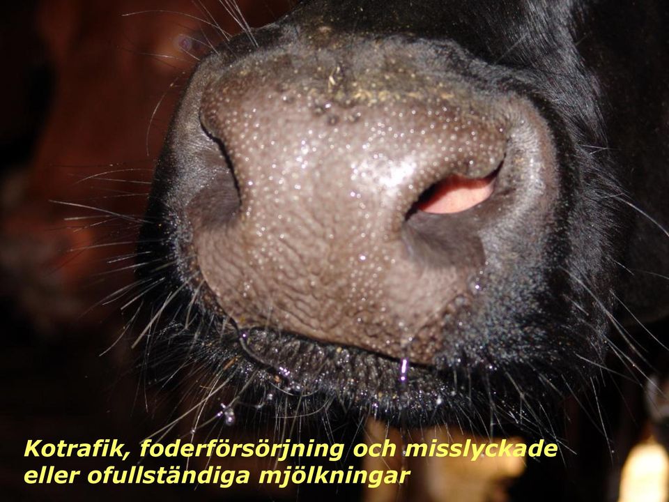 och misslyckade