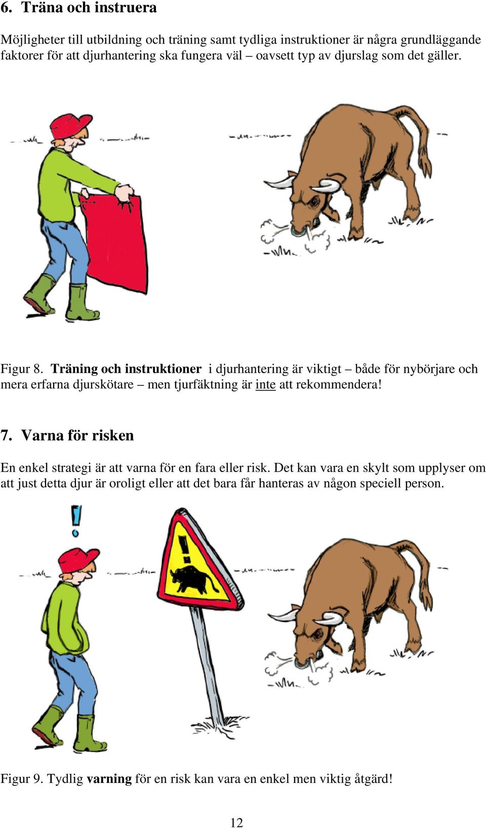 Träning och instruktioner i djurhantering är viktigt både för nybörjare och mera erfarna djurskötare men tjurfäktning är inte att rekommendera! 7.