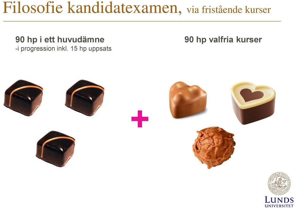 huvudämne 90 hp valfria kurser