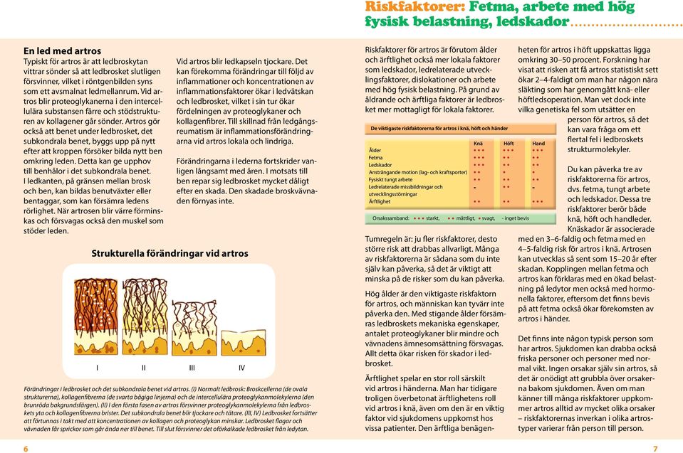 Artros gör också att benet under ledbrosket, det subkondrala benet, byggs upp på nytt efter att kroppen försöker bilda nytt ben omkring leden.