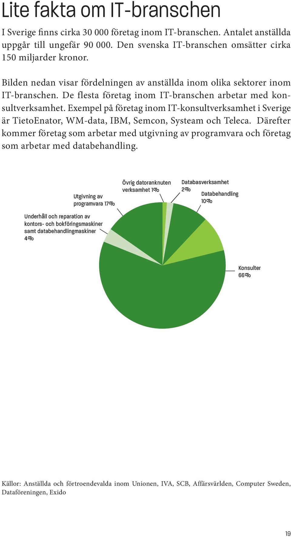 Exempel på företag inom IT-konsultverksamhet i Sverige är TietoEnator, WM-data, IBM, Semcon, Systeam och Teleca.