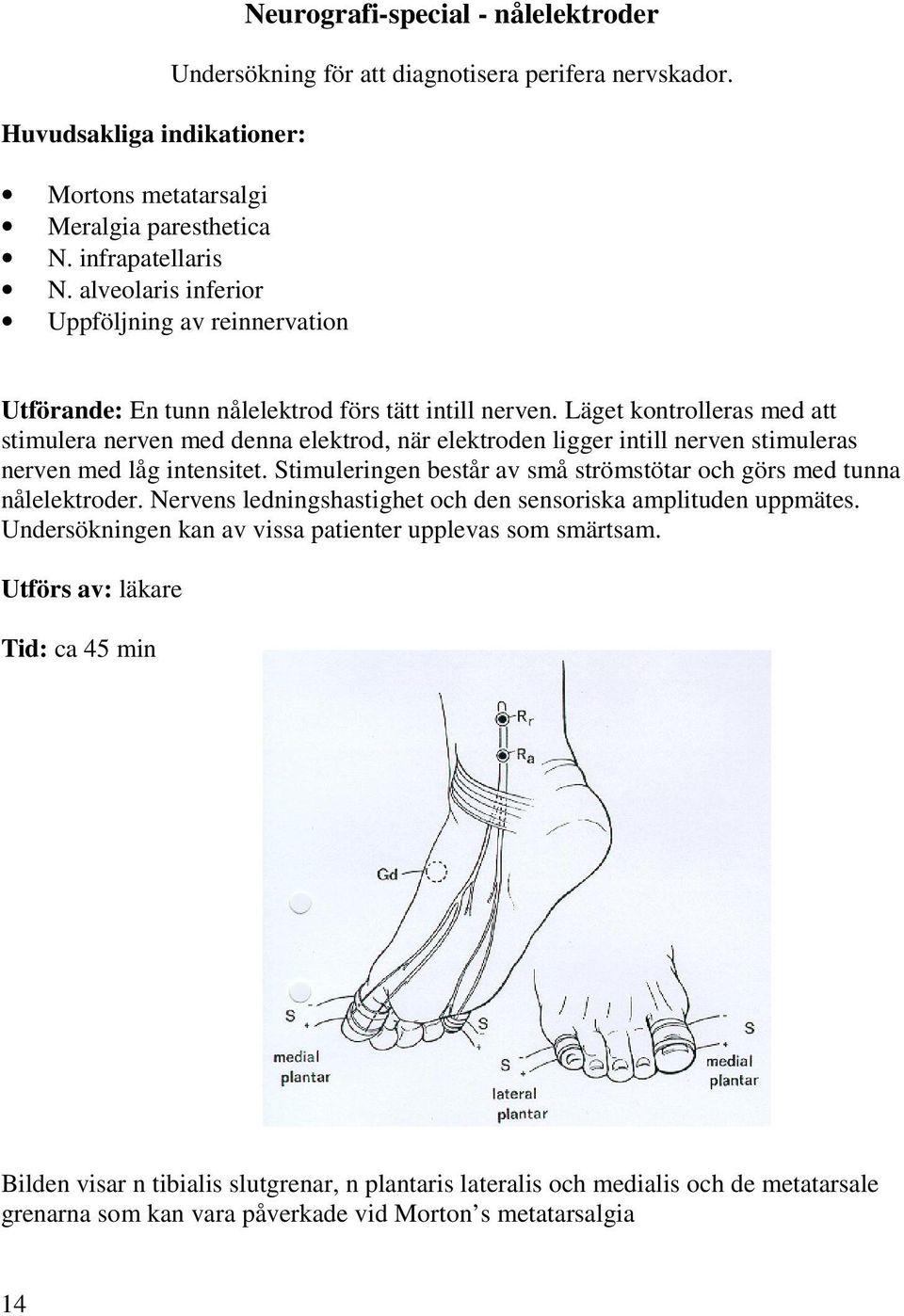 Läget kontrolleras med att stimulera nerven med denna elektrod, när elektroden ligger intill nerven stimuleras nerven med låg intensitet.