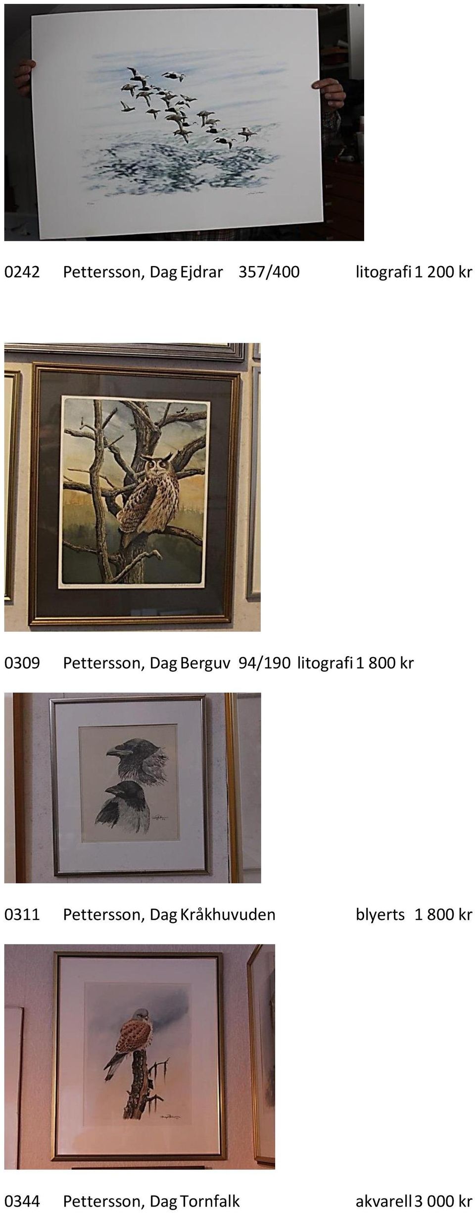 800 kr 0311 Pettersson, Dag Kråkhuvuden blyerts 1