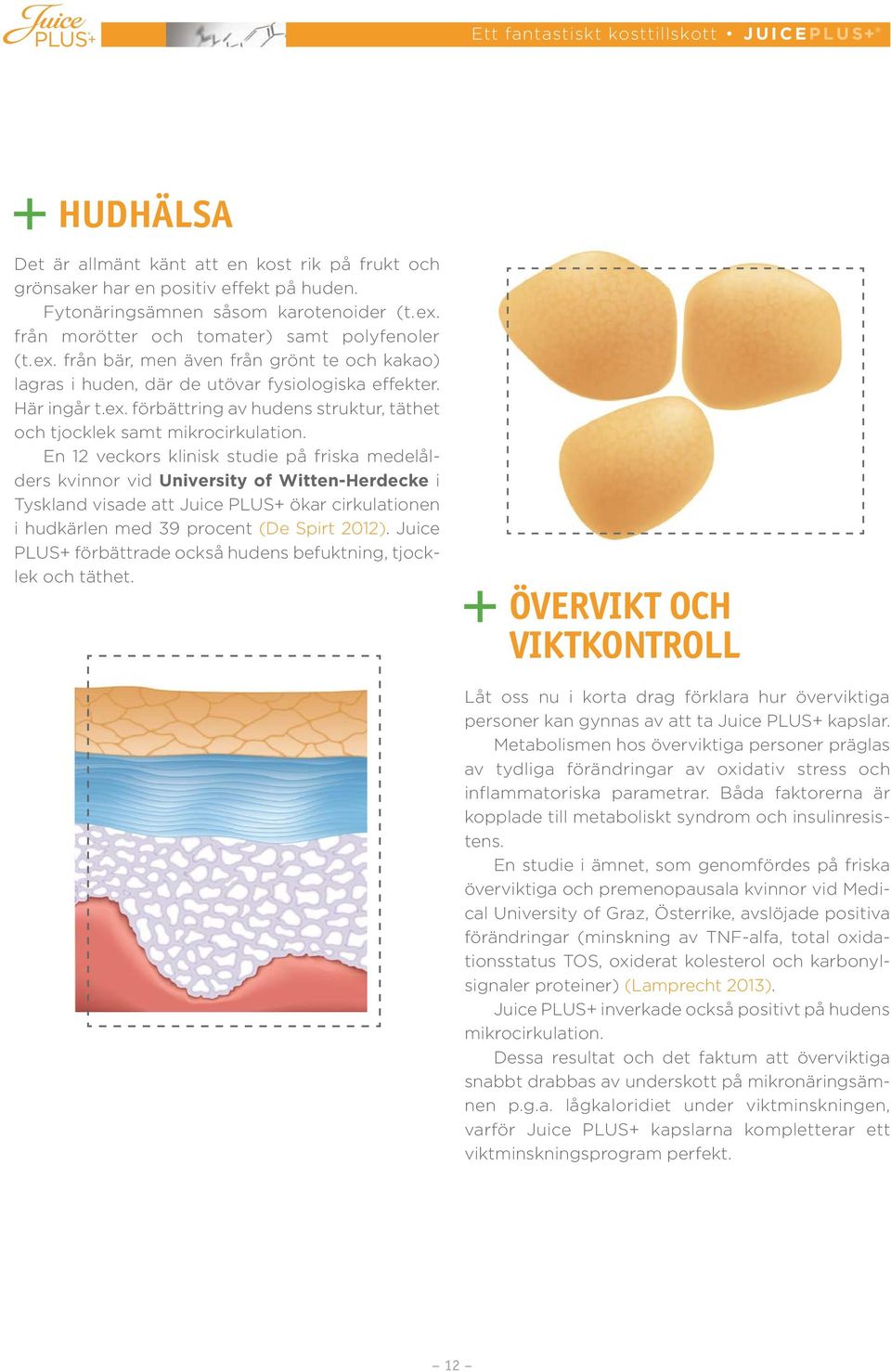 En 12 veckors klinisk studie på friska medelålders kvinnor vid University of Witten-Herdecke i Tyskland visade att Juice PLUS+ ökar cirkulationen i hudkärlen med 39 procent (De Spirt 2012).