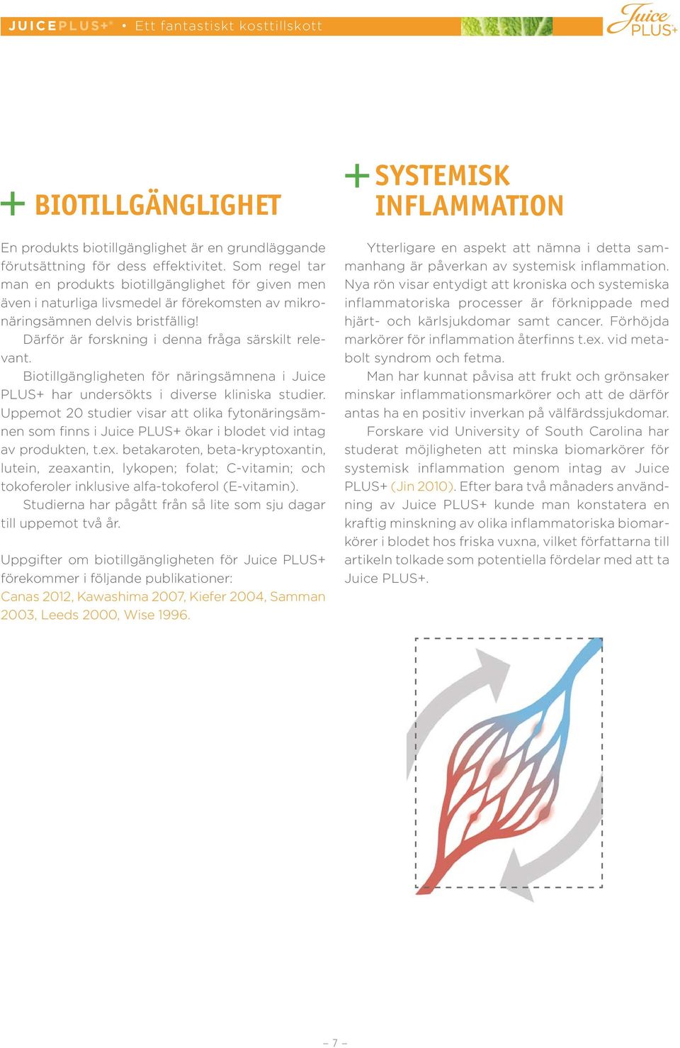 Biotillgängligheten för näringsämnena i Juice PLUS+ har undersökts i diverse kliniska studier.