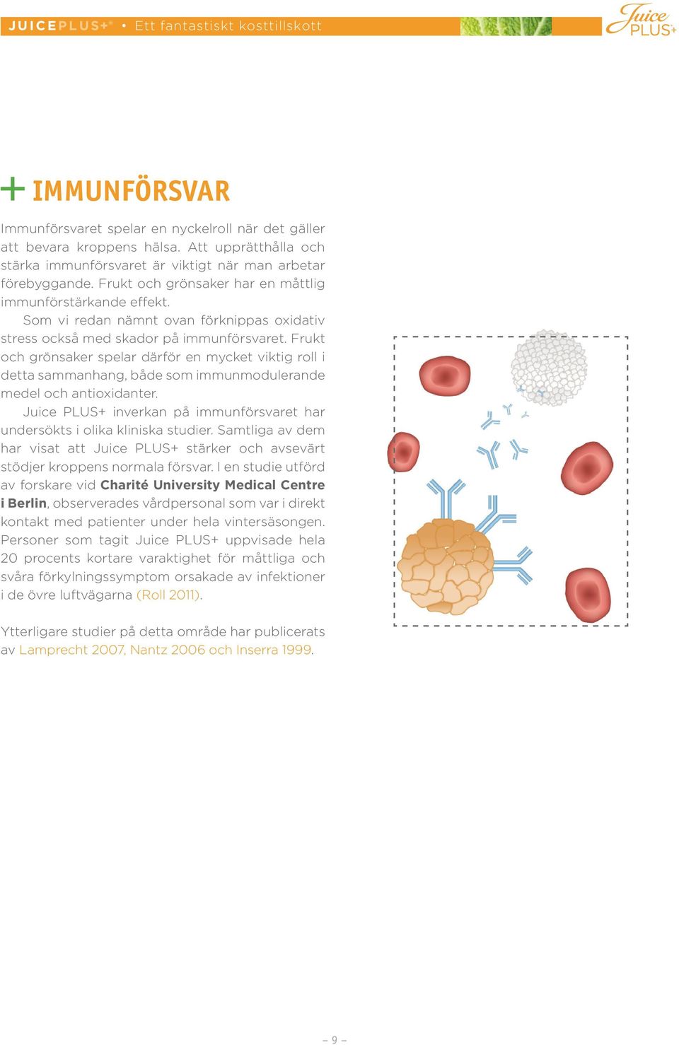 Som vi redan nämnt ovan förknippas oxidativ stress också med skador på immunförsvaret.