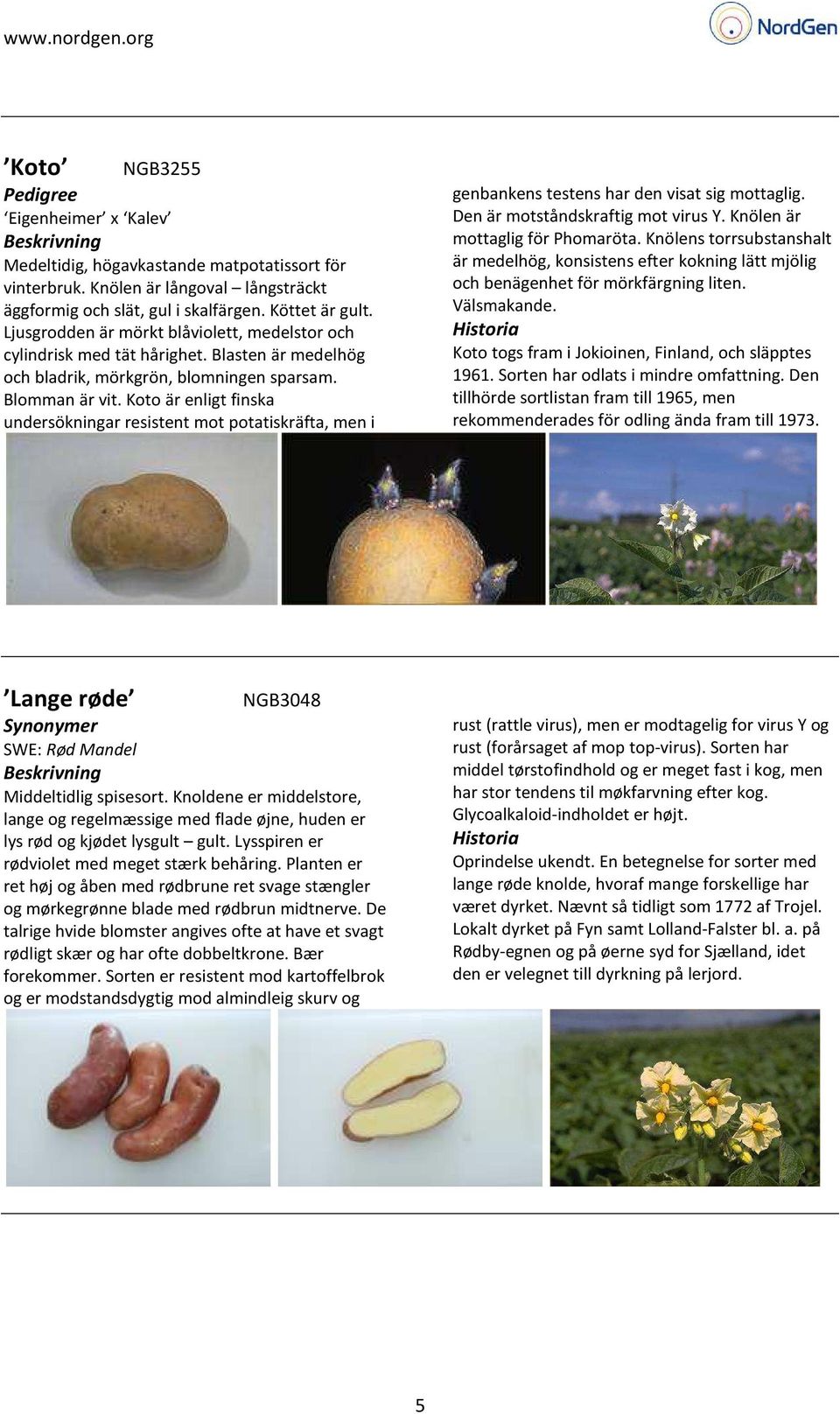 Koto är enligt finska undersökningar resistent mot potatiskräfta, men i genbankens testens har den visat sig mottaglig. Den är motståndskraftig mot virus Y. Knölen är mottaglig för Phomaröta.