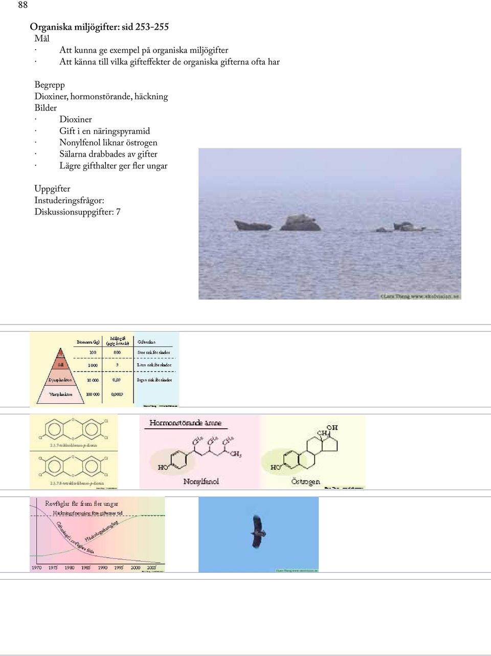 Dioxiner, hormonstörande, häckning Dioxiner Gift i en näringspyramid Nonylfenol