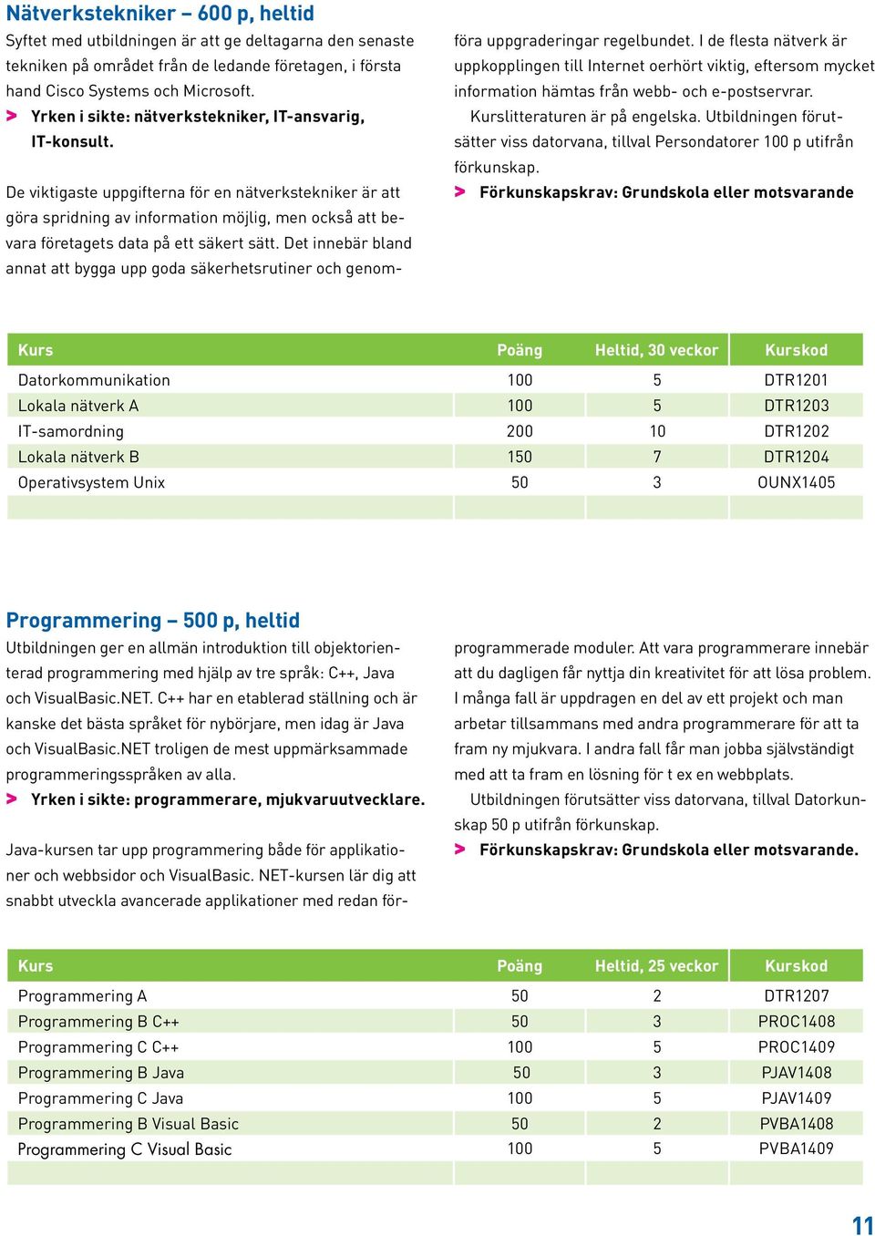De viktigaste uppgifterna för en nätverkstekniker är att göra spridning av information möjlig, men också att bevara företagets data på ett säkert sätt.