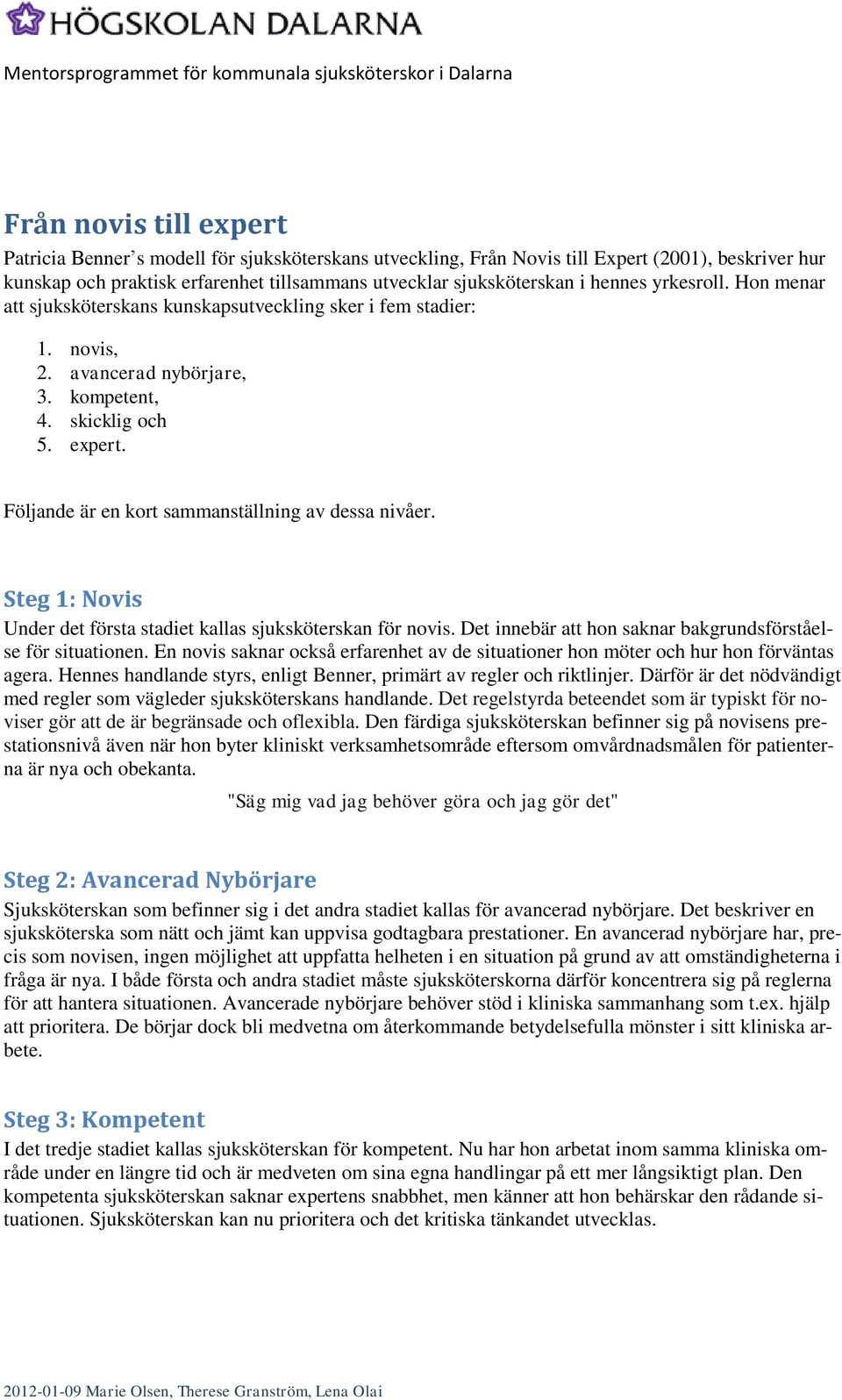 skicklig och 5. expert. Följande är en kort sammanställning av dessa nivåer. Steg 1: Novis Under det första stadiet kallas sjuksköterskan för novis.