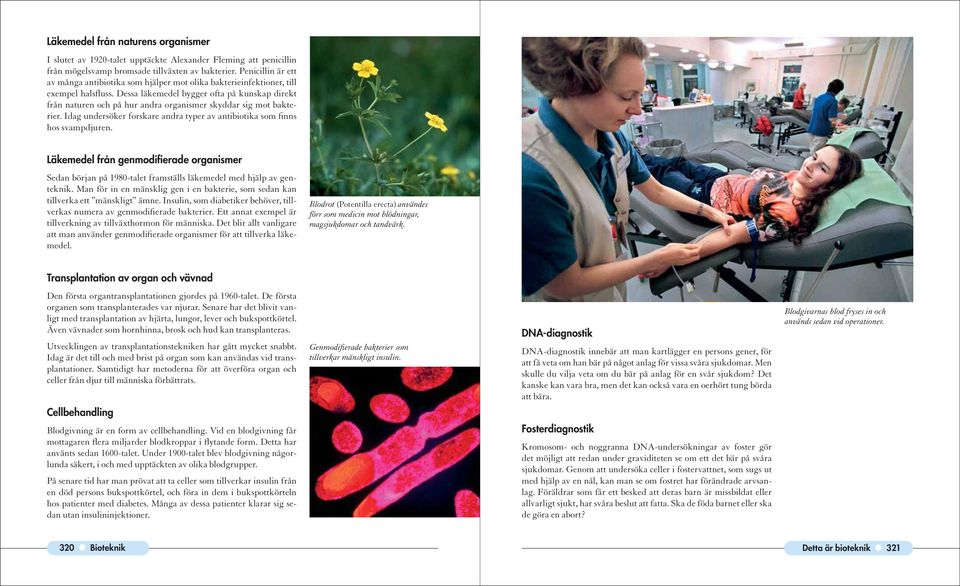 Dessa läkemedel bygger ofta på kunskap direkt från naturen och på hur andra organismer skyddar sig mot bakterier. Idag undersöker forskare andra typer av antibiotika som finns hos svampdjuren.