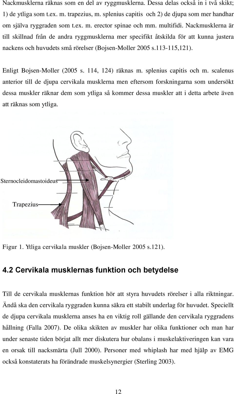 Nackmusklerna är till skillnad från de andra ryggmusklerna mer specifikt åtskilda för att kunna justera nackens och huvudets små rörelser (Bojsen-Moller 2005 s.113-115,121).