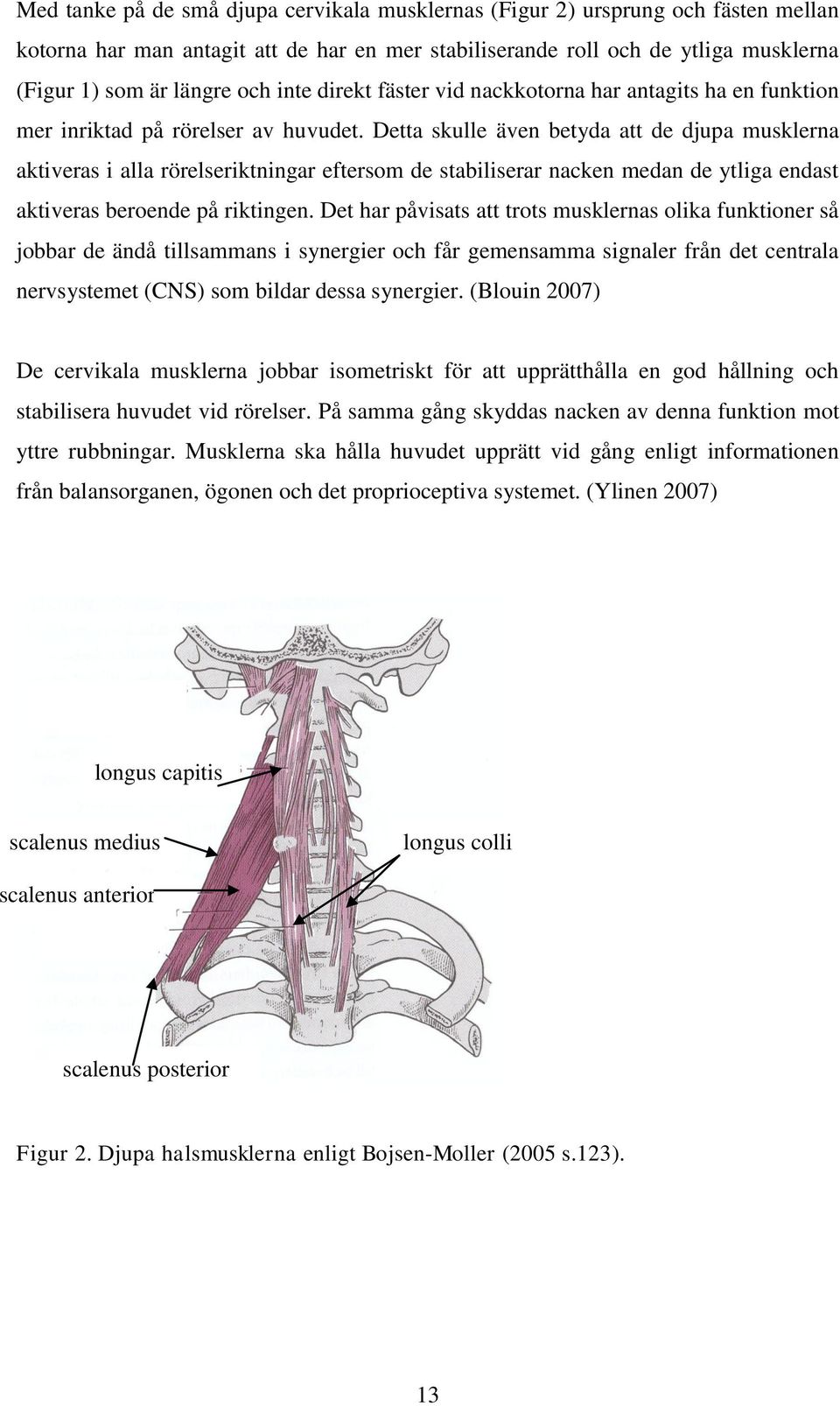 Detta skulle även betyda att de djupa musklerna aktiveras i alla rörelseriktningar eftersom de stabiliserar nacken medan de ytliga endast aktiveras beroende på riktingen.