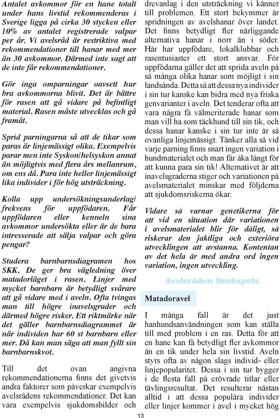 Det är bättre för rasen att gå vidare på befintligt material. Rasen måste utvecklas och gå framåt. Sprid parningarna så att de tikar som paras är linjemässigt olika.