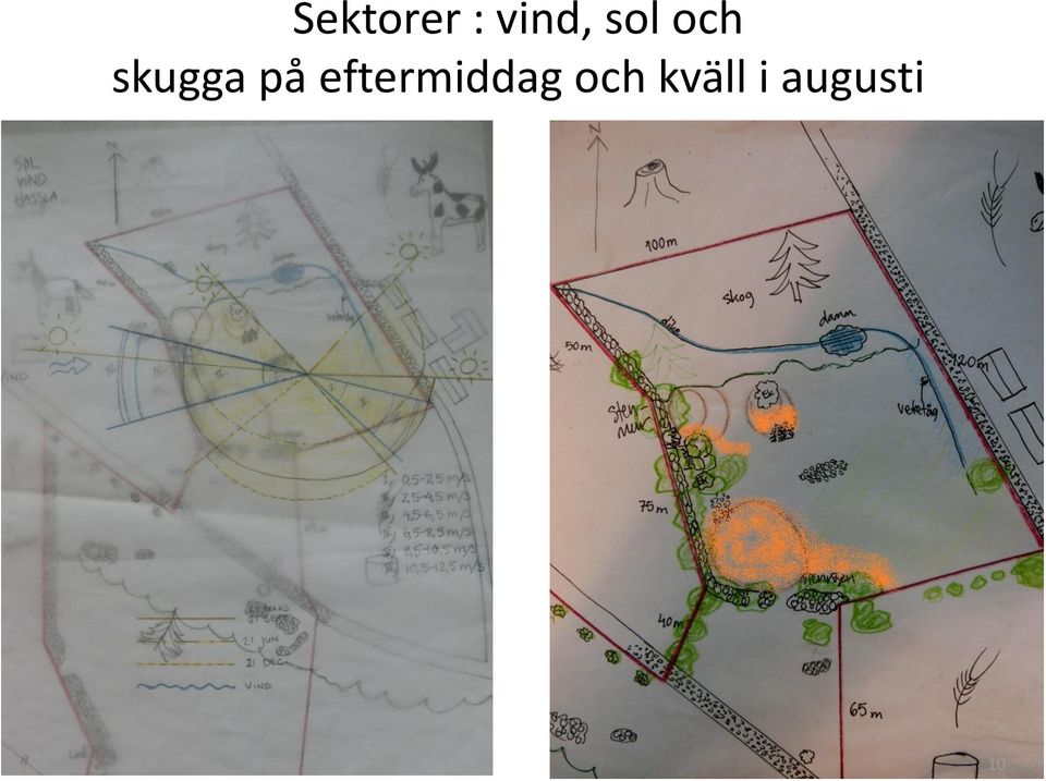 eftermiddag och