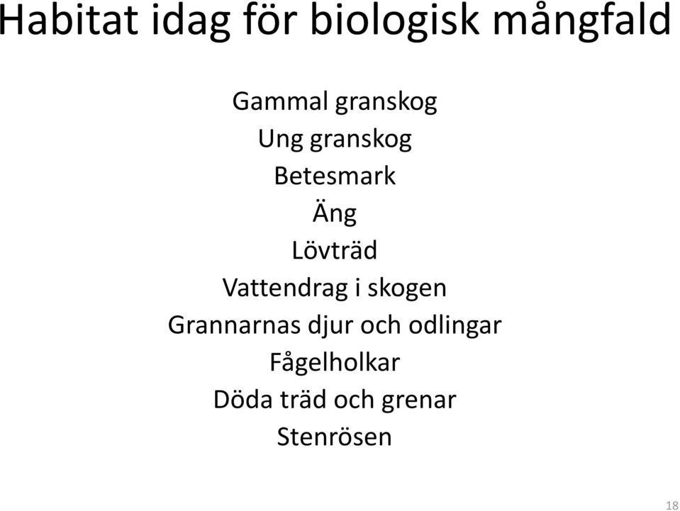 Vattendrag i skogen Grannarnas djur och