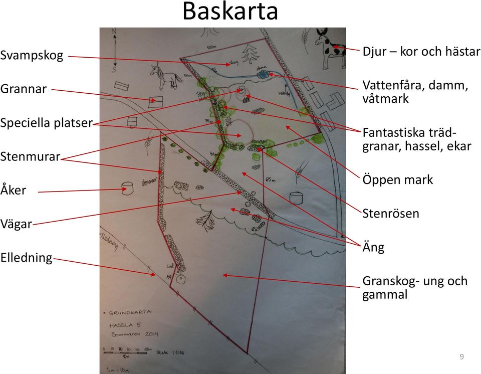 Vattenfåra, damm, våtmark Fantastiska trädgranar,