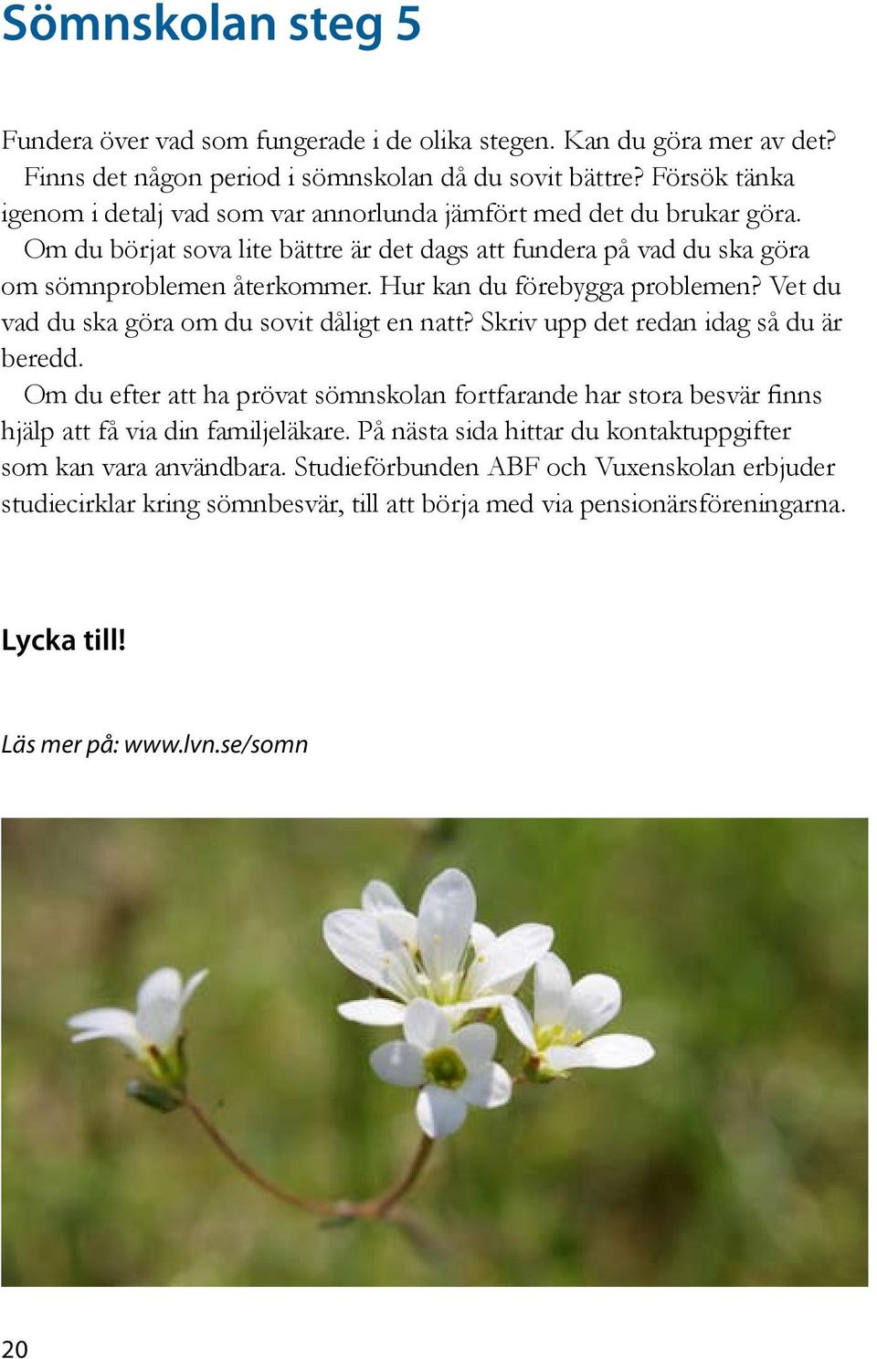 Hur kan du förebygga problemen? Vet du vad du ska göra om du sovit dåligt en natt? Skriv upp det redan idag så du är beredd.