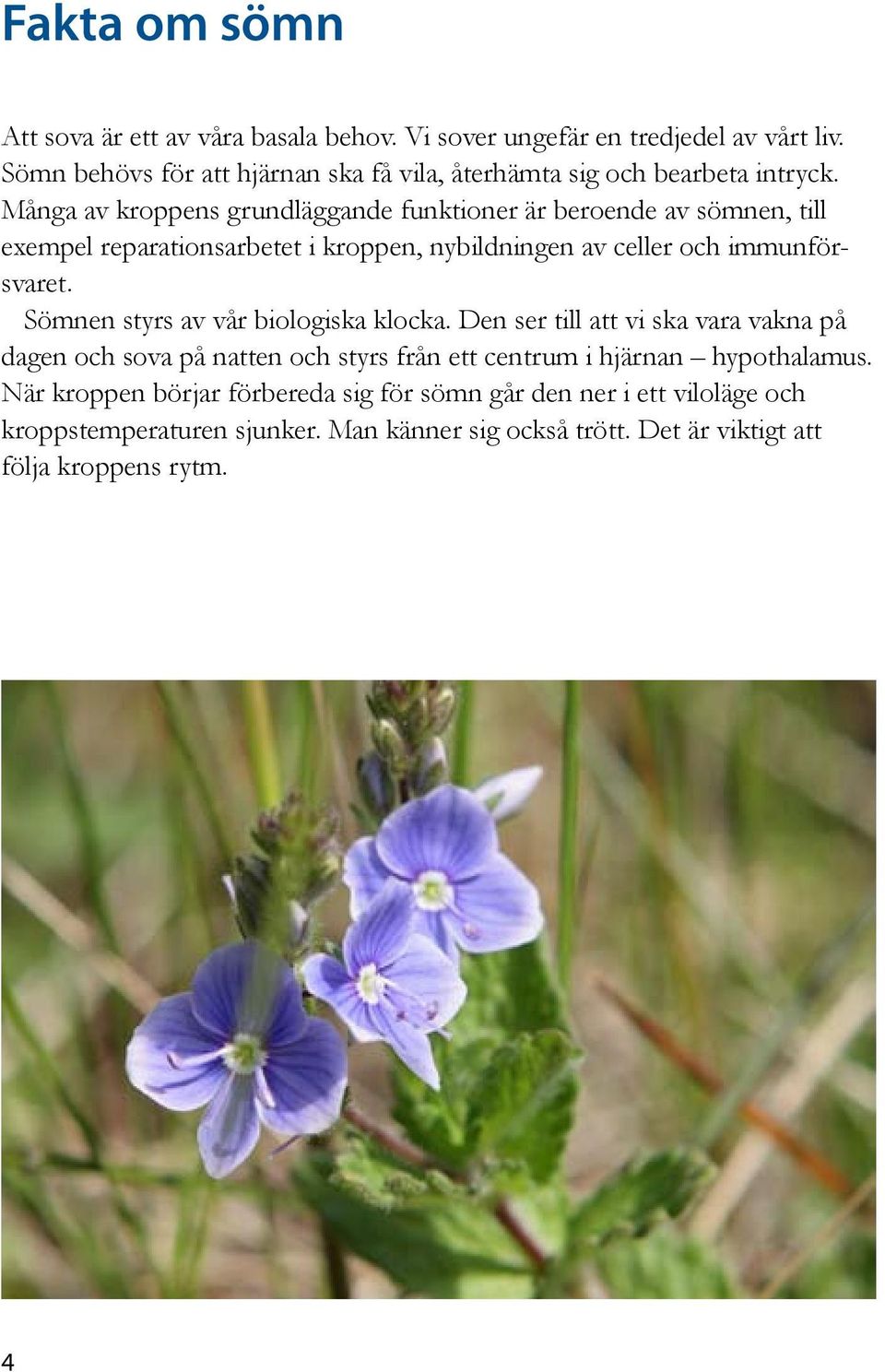 Många av kroppens grundläggande funktioner är beroende av sömnen, till exempel reparationsarbetet i kroppen, nybildningen av celler och immunförsvaret.