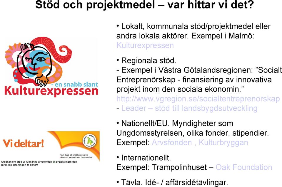 - Exempel i Västra Götalandsregionen: Socialt Entreprenörskap - finansiering av innovativa projekt inom den sociala ekonomin. http://www.
