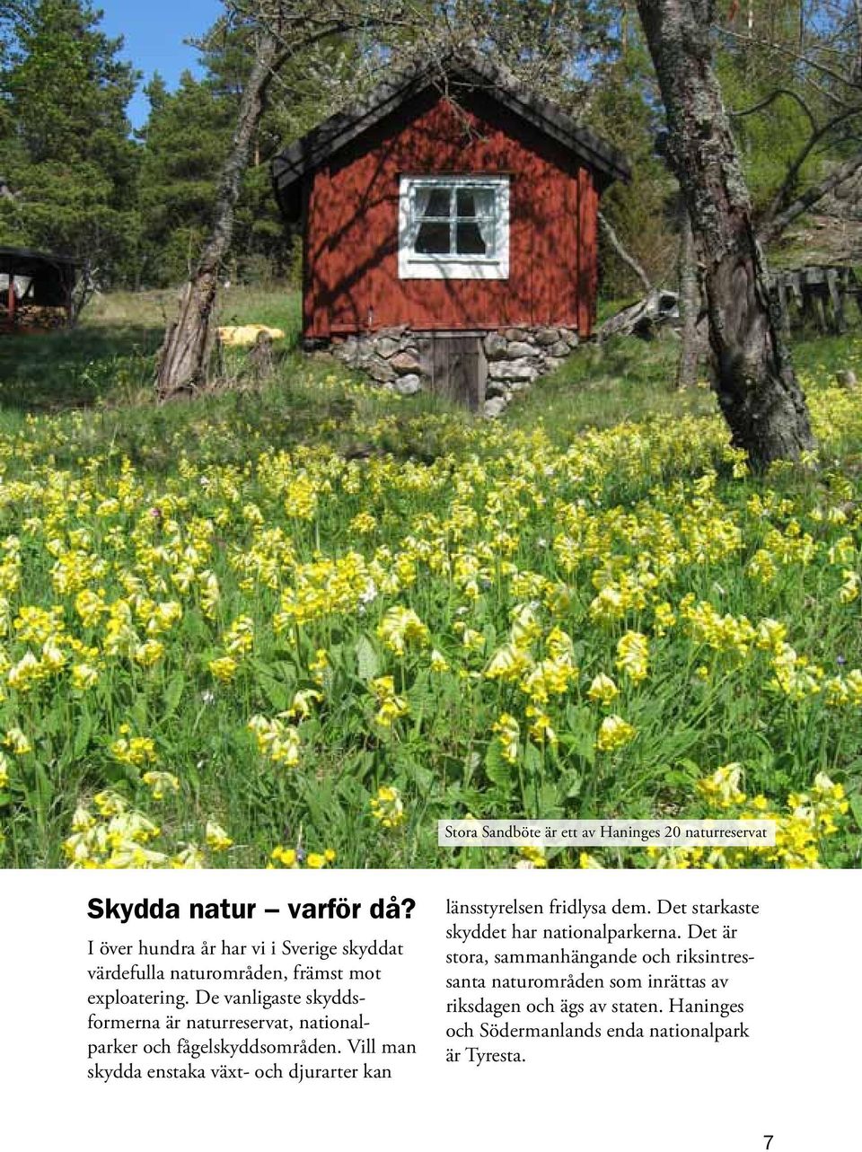 De vanligaste skyddsformerna är naturreservat, nationalparker och fågelskyddsområden.