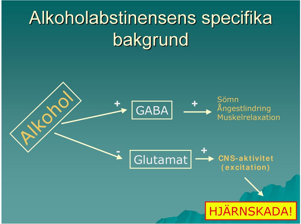 Glutamat + Sömn Ångestlindring