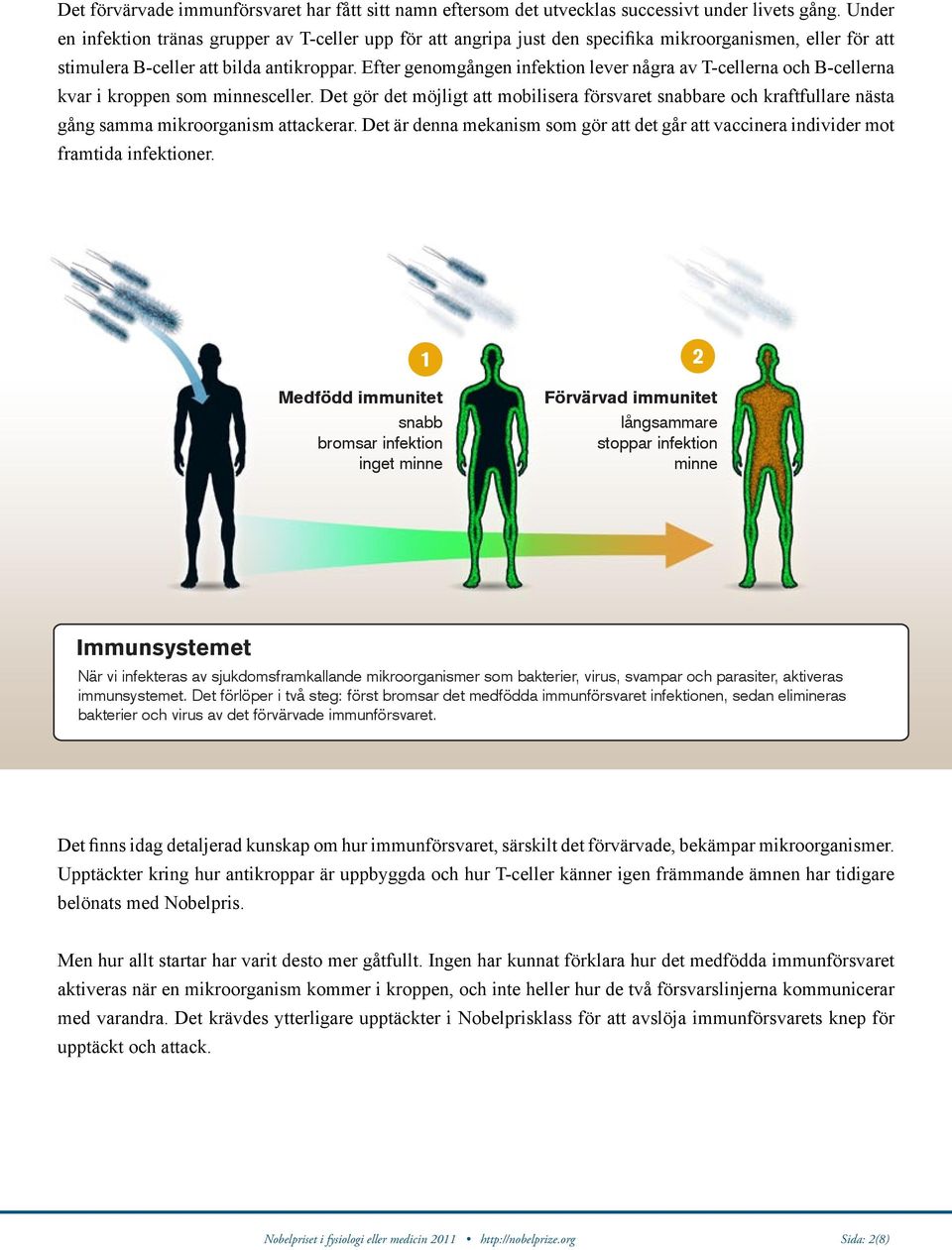 Efter genomgången infektion lever några av T-cellerna och B-cellerna kvar i kroppen som minnesceller.